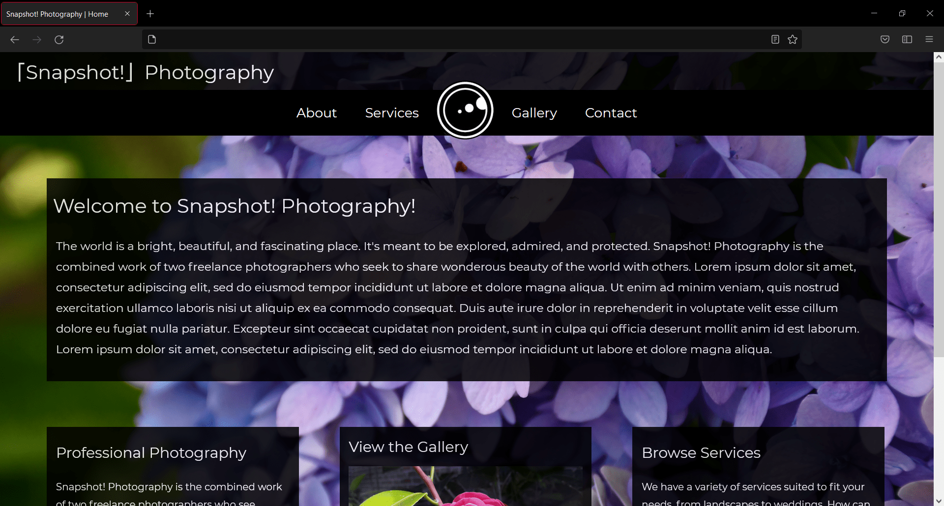 Screenshot of Snapshot! Photography Website